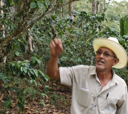 Ein Kooperativenmitglied auf seiner Kaffeepflanzung